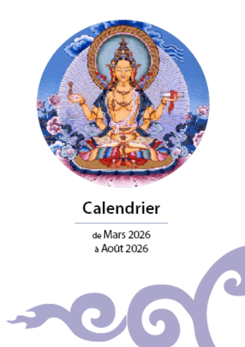 Capture décran 2025 11 05 174748